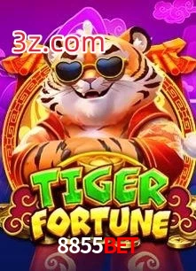 8855Bet